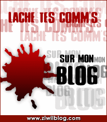 lache tes com's sur mon blog